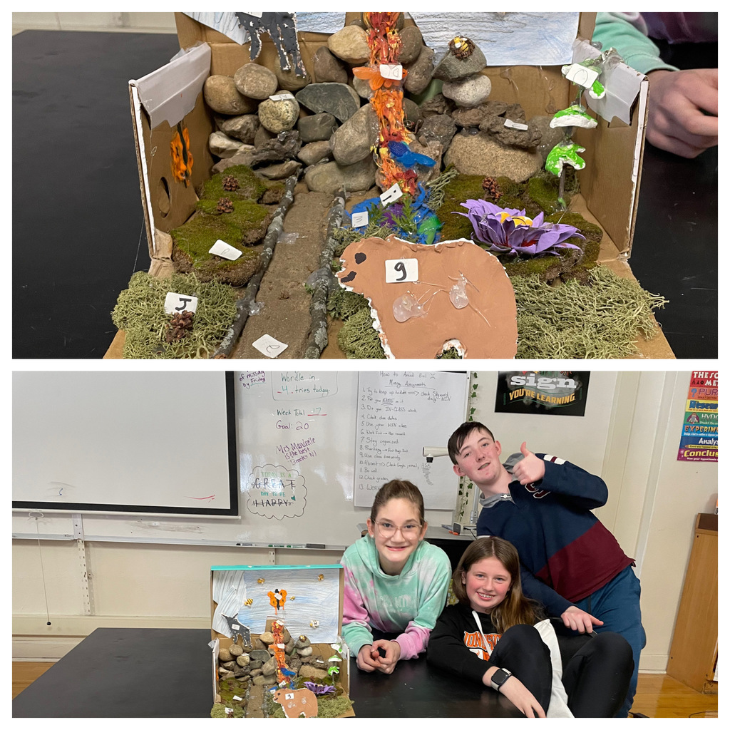 Live Feed Jonesville Middle School